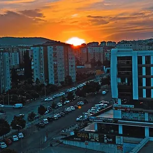 Transit 77 Проживание в семье